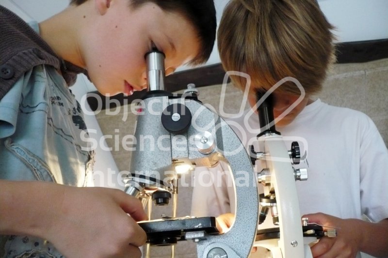 Keywords: microscope,boys