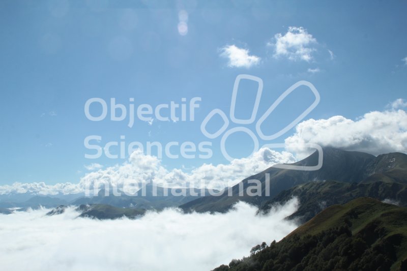 Keywords: nuages,montagnes,Iraty,pyrénées,formation naturaliste biodiversita