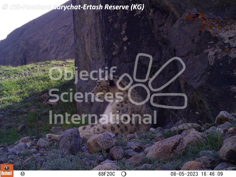 Keywords: Nord de Sarychat-Ertash,Kirghizstan