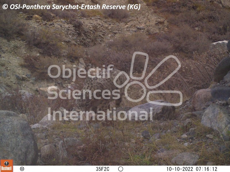 Keywords: Nord de Sarychat-Ertash,Kirghizstan