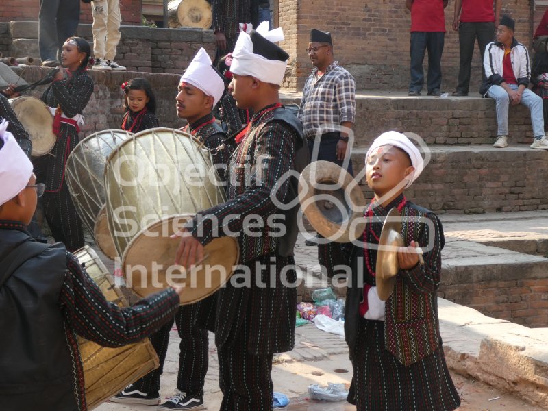 festival
Keywords: Népal,faune