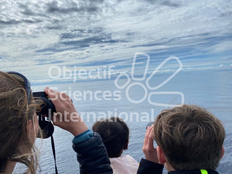 Observation_jumelle
Observation des cétacés aux jumelles
Keywords: jumelles,observation,bateau,mer,océan,ciel,bleu,gris
