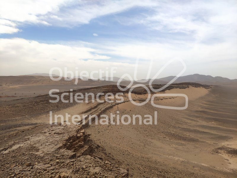 IMG_20240216_130452
Keywords: Paléontologie, Maroc, expedition, fossile, dinosaire
