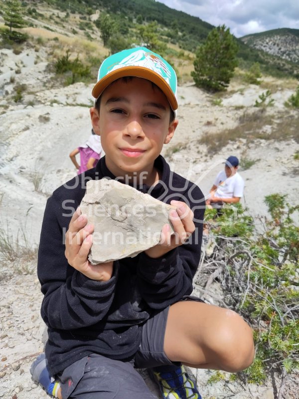 1690400869535
Keywords: garçon,caillou,roche,fossile