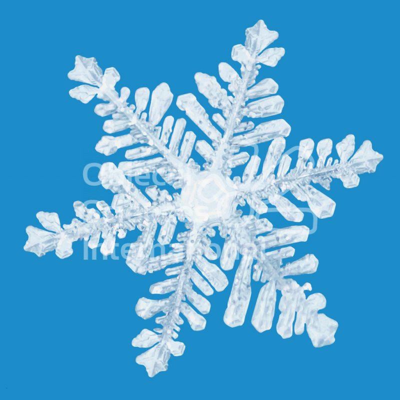 Snowflake
10 Feb 2004 --- Snowflake --- Image by Â© Royalty-Free/Corbis
Keywords: Cold,Complexity,Delicate,Frozen,Ice,Ice crystal,Nobody,Seasons,Single object,Snow,Snowflake,Symmetry,Winter
