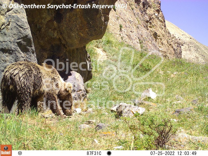 ours
Keywords: Nord de Sarychat-Ertash,Kirghizstan