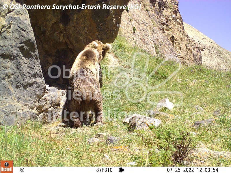 Keywords: Nord de Sarychat-Ertash,Kirghizstan