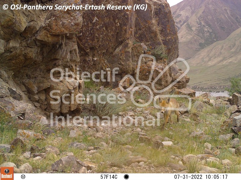 Keywords: Nord de Sarychat-Ertash,Kirghizstan