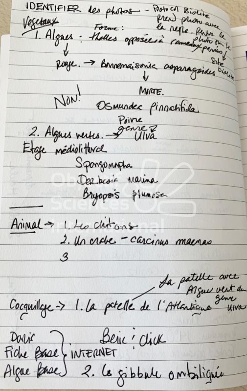 carnet_de_note_2
