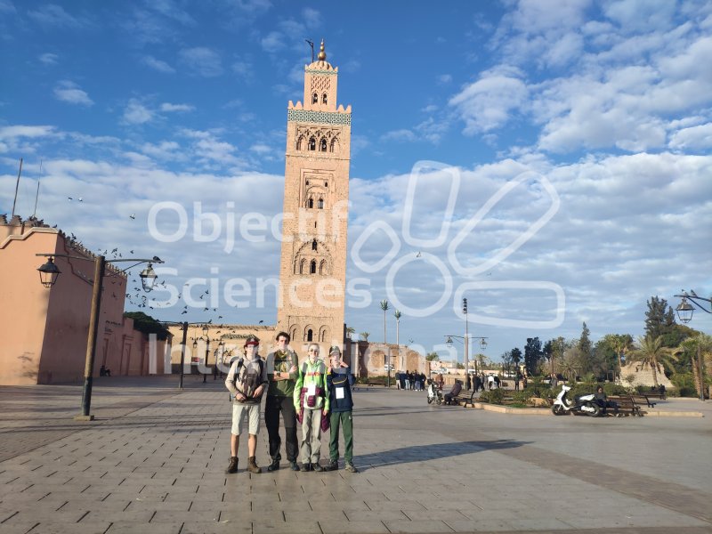 IMG_20230211_093938
Keywords: Maroc,expe,Paleo