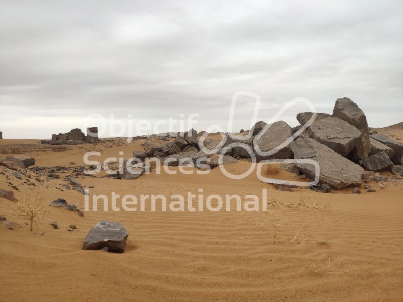 IMG_20230215_091255
Keywords: Maroc, expe, Paleo