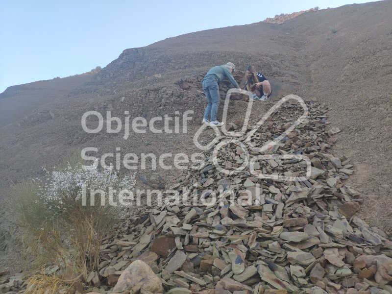 IMG_20240211_182424
Keywords: Paléontologie, Maroc, expedition, fossile, dinosaire