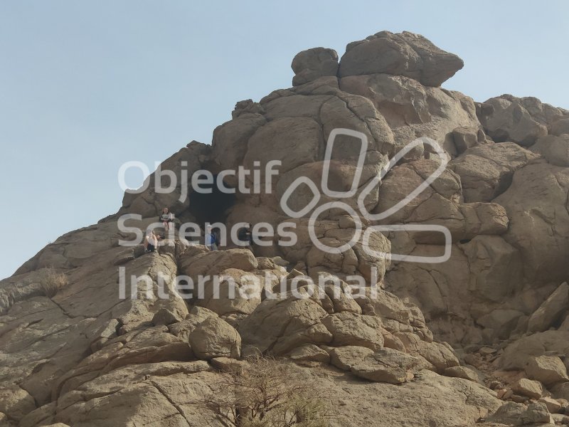 IMG_20240214_113103_1
Keywords: Paléontologie, Maroc, expedition, fossile, dinosaire