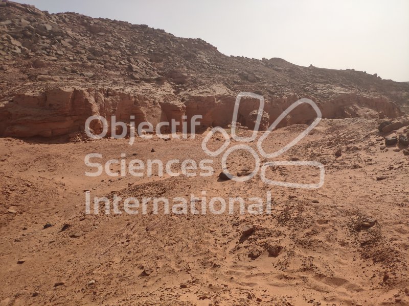 IMG_20240215_143539
Keywords: Paléontologie, Maroc, expedition, fossile, dinosaire