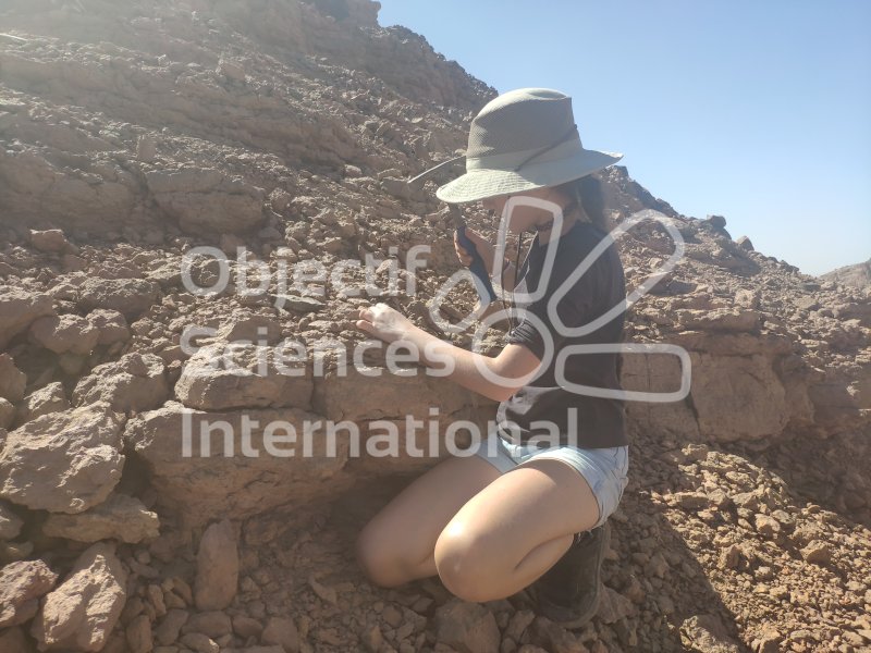 IMG_20240219_134749
Keywords: Dinosaure, Maroc, Paléo, expedition, fossiles