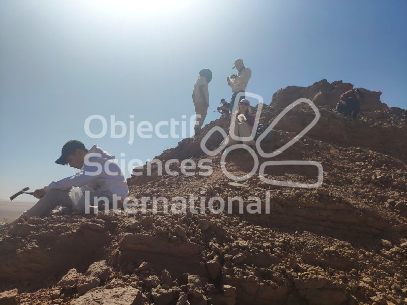 IMG_20240219_134807
Keywords: Dinosaure, Maroc, Paléo, expedition, fossiles