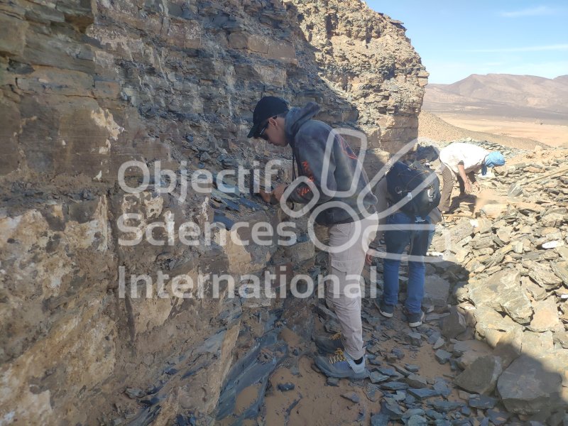 IMG_20240220_124755
Keywords: Dinosaure, Maroc, Paléo, expedition, fossiles
