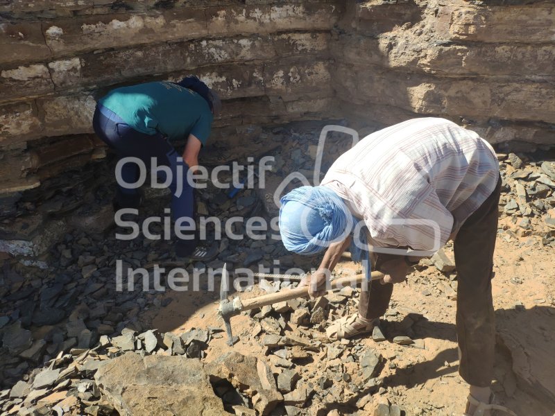 IMG_20240220_124856
Keywords: Dinosaure, Maroc, Paléo, expedition, fossiles