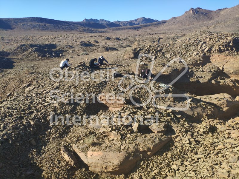IMG_20240221_095112
Keywords: Dinosaure, Maroc, Paléo, expedition, fossiles