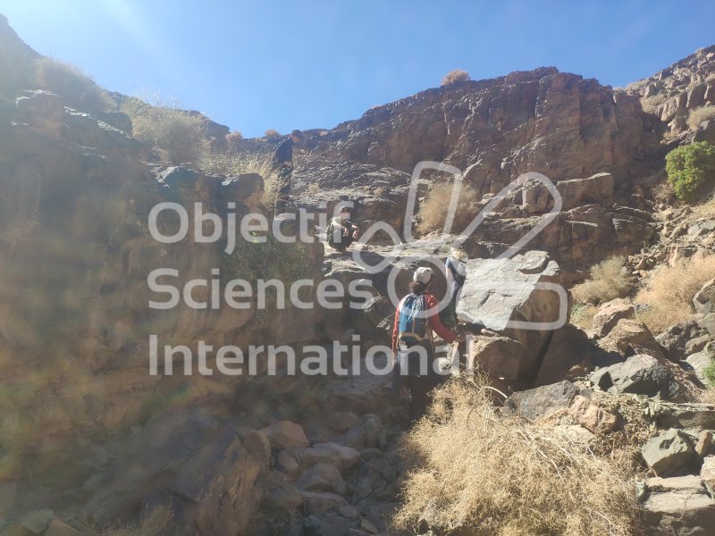 IMG_20240221_124609
Keywords: Dinosaure, Maroc, Paléo, expedition, fossiles