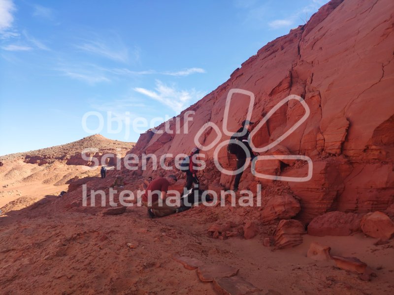 IMG_20240222_105228
Keywords: Dinosaure, Maroc, Paléo, expedition, fossiles