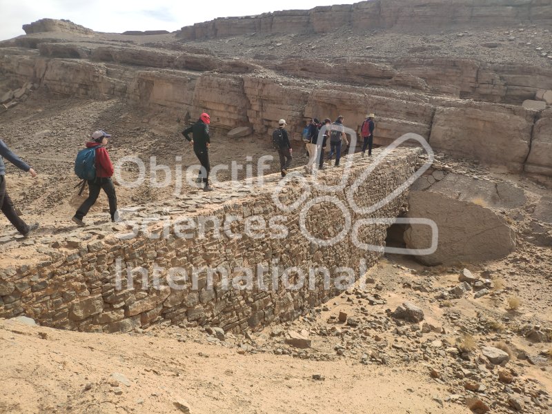 IMG_20240223_121442
Keywords: Dinosaure, Maroc, Paléo, expedition, fossiles