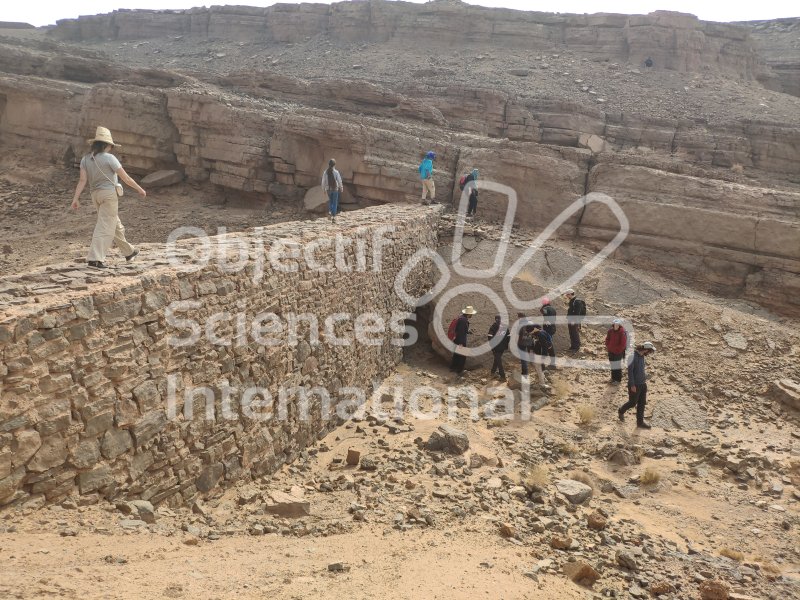 IMG_20240223_121554
Keywords: Dinosaure, Maroc, Paléo, expedition, fossiles