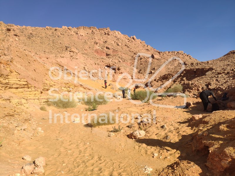 IMG_20240223_165834
Keywords: Dinosaure, Maroc, Paléo, expedition, fossiles