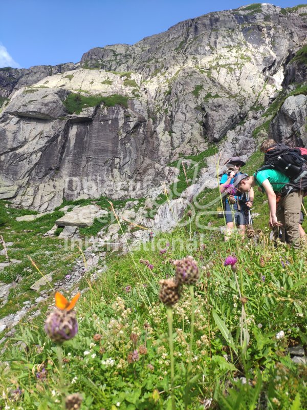 IMG_20240808_095910
Keywords: Paleo, expe, montagne, bivouac