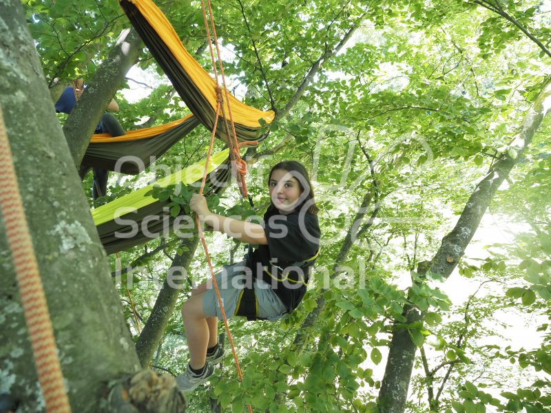 Keywords: Margaux,climbing tree
