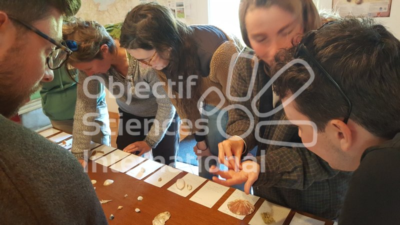 Keywords: formation naturaliste biodiversita - bretagne - atelier coquillages - malacologie