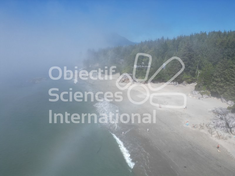 Keywords: plage,océan pacifique,forêt,sable,brume,drone