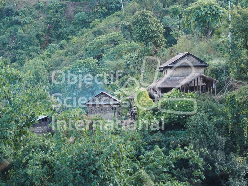 Keywords: village népal,osi biodiversita expédition