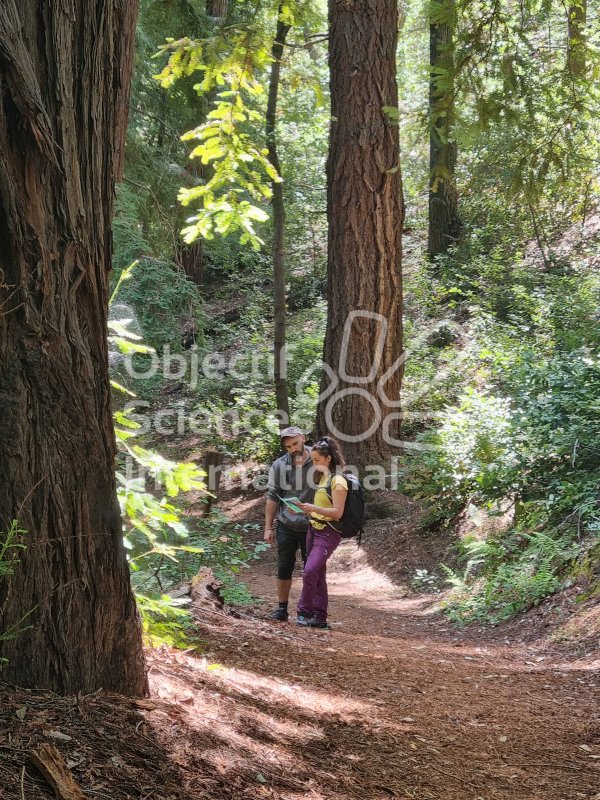 Keywords: Californie, California, USA, Amérique, America, post-voyage, repérage