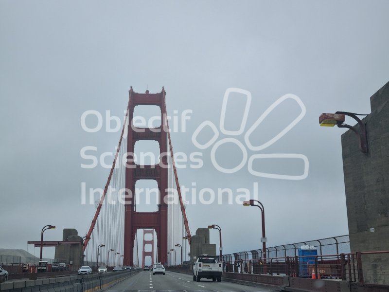 Keywords: Californie, California, USA, Amérique, America, post-voyage, repérage