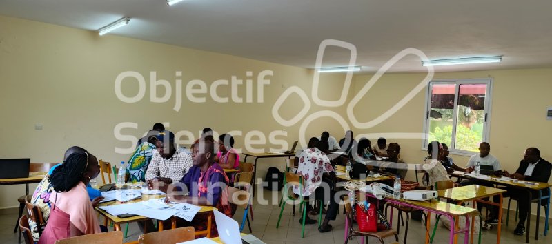 Keywords: Côte d'Ivoire, Ivoiry, Afrique, Africa, Formation, ST1, Step 1, Step One, Formation st1, Pédagogie de projet, Formation pédagogique, Groupe local, Groupe