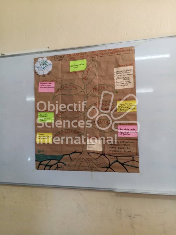 Keywords: Côte d'Ivoire, Ivoiry, Afrique, Africa, Formation, ST1, Step 1, Step One, Formation st1, Pédagogie de projet, Formation pédagogique, Groupe local, Groupe