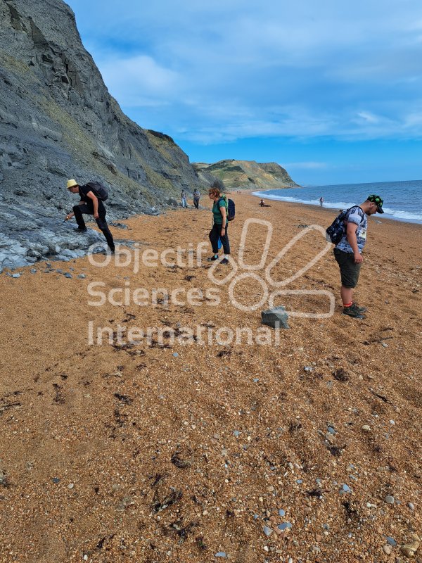 Keywords: Angleterre,Dorset,Seatown,plage,fossiles