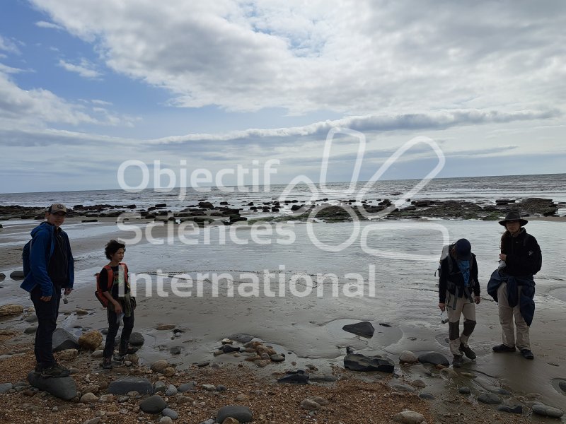 Keywords: Angleterre,Dorset,Charmouth,plage