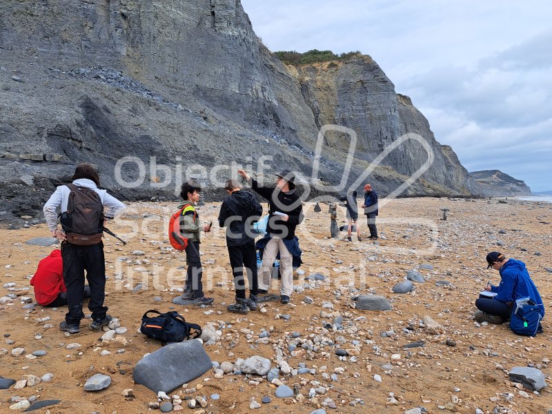 Keywords: Angleterre,Dorset,Charmouth,plage