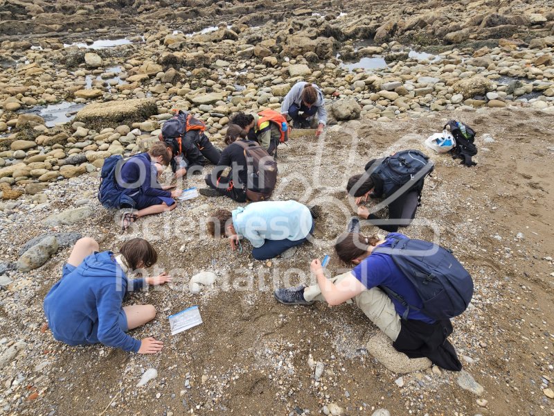 Keywords: Angleterre,Dorset,Osmington Mills,plage