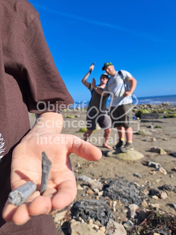 Keywords: Angleterre,Charmouth,plage,fossiles