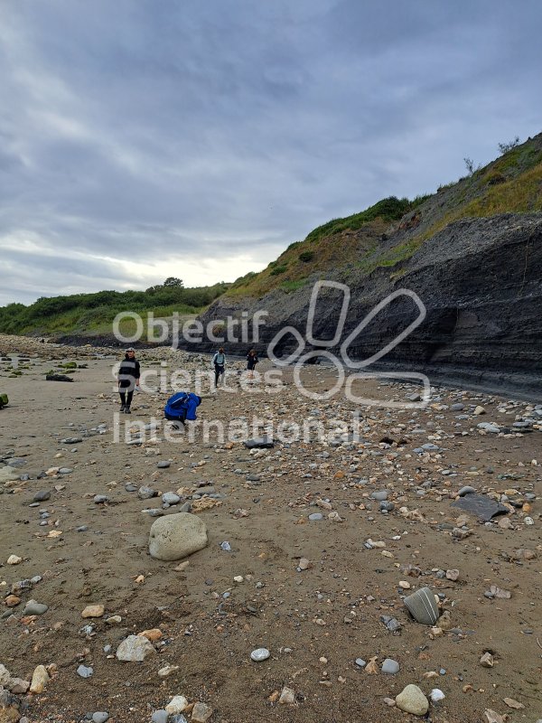 Keywords: Angleterre,Dorset,Charmouth,plage