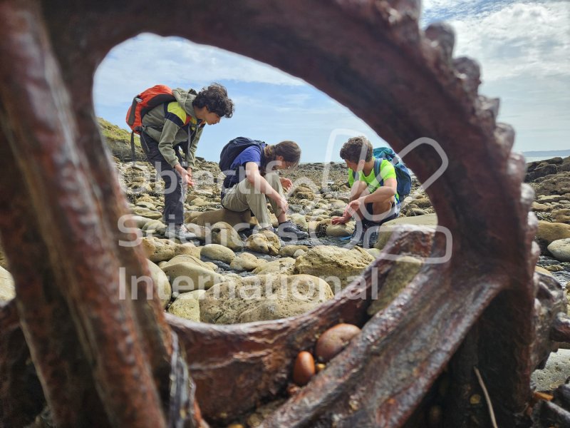 Keywords: Angleterre,Dorset,Osmington Mills,plage