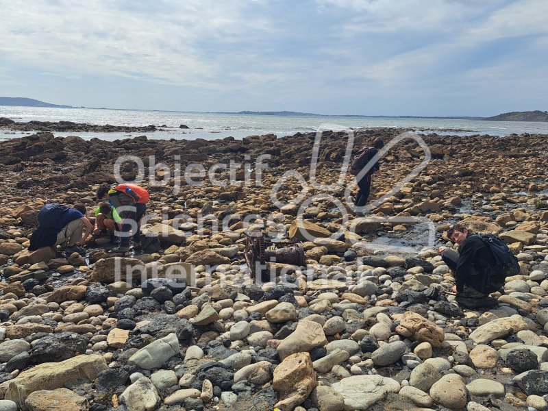 Keywords: Angleterre,Dorset,Osmington Mills,plage