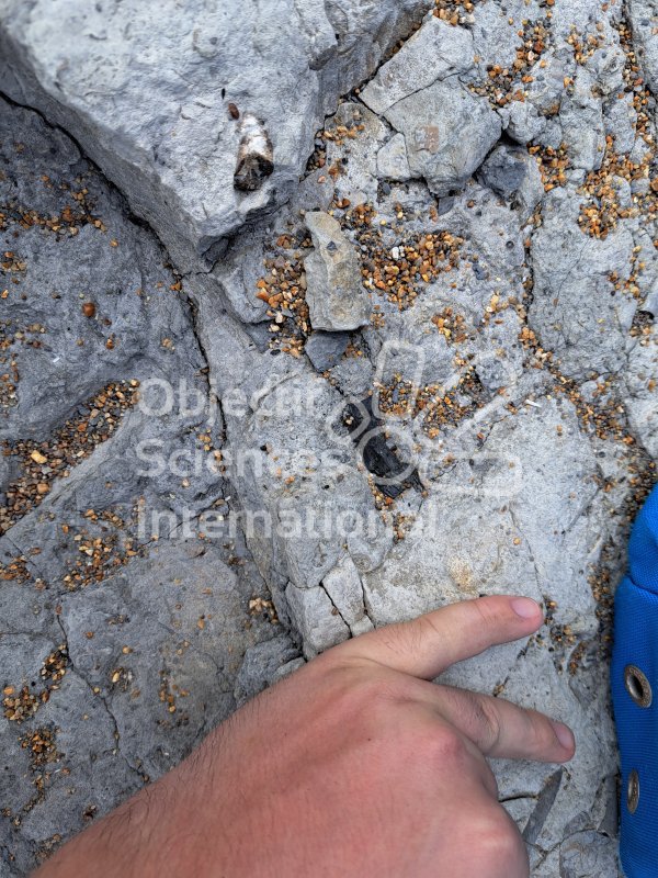 Keywords: Angleterre,Dorset,Seatown,plage,fossiles