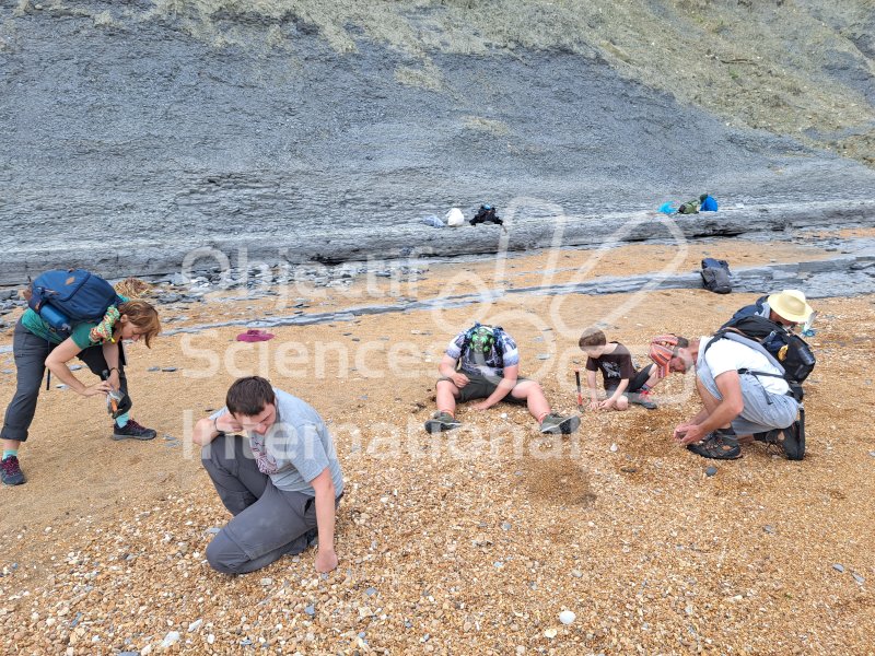 Keywords: Angleterre,Dorset,Seatown,plage,fossiles