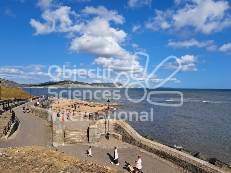 Keywords: Angleterre,Dorset,Lyme Regis,plage