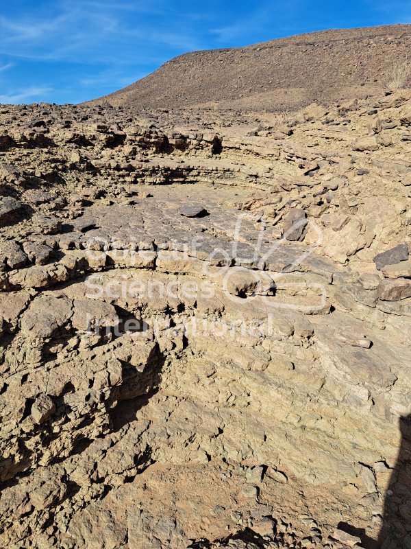 Keywords: Maroc, Zagora, fossiles, Ordovicien