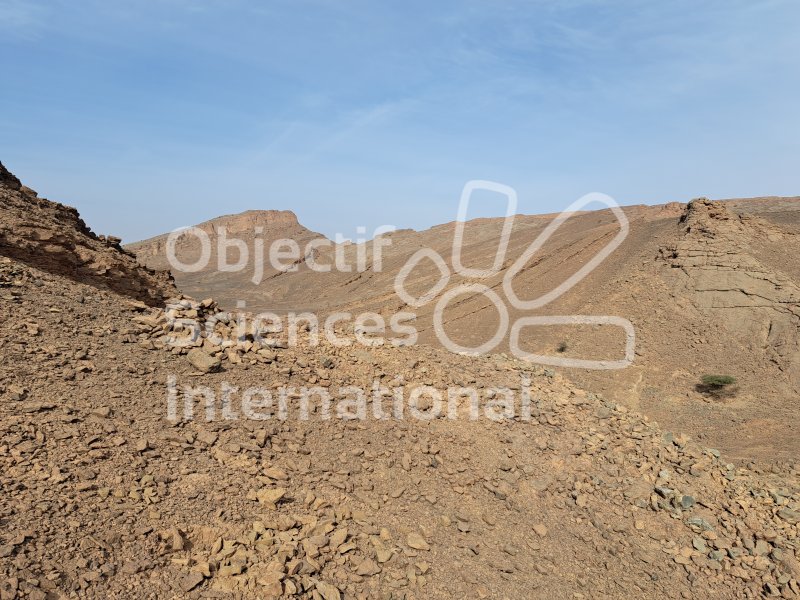 Keywords: Maroc, Erfoud, fossiles, Dévonien